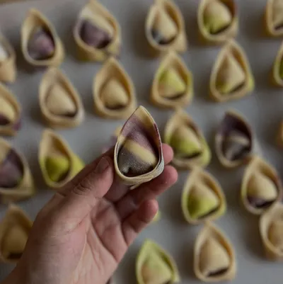 Tortellini Multicolor